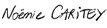 R211-portfolio